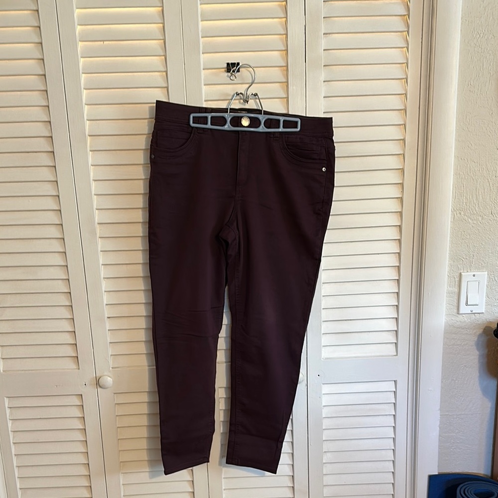 Democracy Dark Purple “Ab Technology” Pants Size 14.